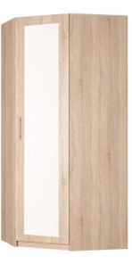 Угловой распашной шкаф Реал (YR-230х1034 (3)-М Вар.1), с зеркалом в Березниках - предосмотр