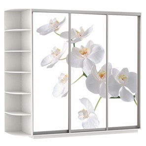 Шкаф 3-х створчатый Экспресс со стеллажом, 2100х600х2200, Орхидея белая/белый снег в Перми
