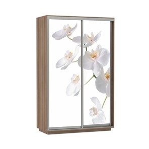 Шкаф 2-дверный Е1 Экспресс 1400x600x2200, Орхидея белая/шимо темный в Перми