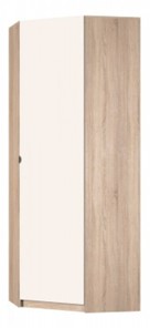 Распашной шкаф угловой Реал (YR-230х884-TR (9)-М Вар.2), без зеркала в Перми