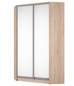 Угловой шкаф Аларти (YA-230х1250(602) (2) Вар. 1; двери D5+D5), с зеркалом в Перми