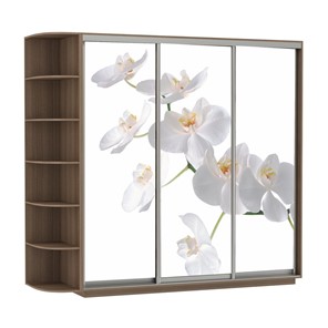 Шкаф 3-х дверный Е1 Экспресс со стеллажом, 2100х600х2200, Орхидея белая/шимо темный в Перми