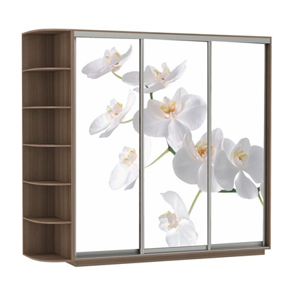 Шкаф 3-х дверный Экспресс со стеллажом, 2100х600х2200, Орхидея белая/шимо темный в Перми - изображение