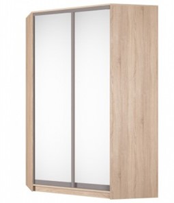 Угловой шкаф Аларти (YA-230х1400(602) (4) Вар. 4; двери D5+D5), с зеркалом в Перми - предосмотр