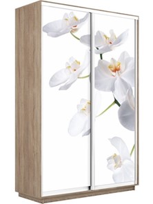 Шкаф 2-х створчатый Экспресс 1200x450x2200, Орхидея белая/дуб сонома в Перми - предосмотр