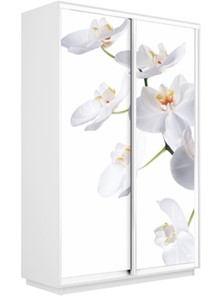 Шкаф 2-х створчатый Экспресс 1200x450x2400, Орхидея белая/белый снег в Перми