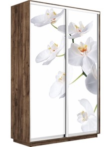 Шкаф 2-створчатый Экспресс 1200x450x2400, Орхидея белая/дуб табачный в Перми - предосмотр