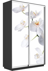 Шкаф 2-х дверный Экспресс 1200x450x2400, Орхидея белая/серый диамант в Перми
