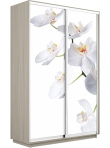 Шкаф двухдверный Экспресс 1200x450x2400, Орхидея белая/шимо светлый в Перми