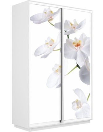 Шкаф двухдверный Экспресс 1200x600x2200, Орхидея белая/белый снег в Перми - изображение