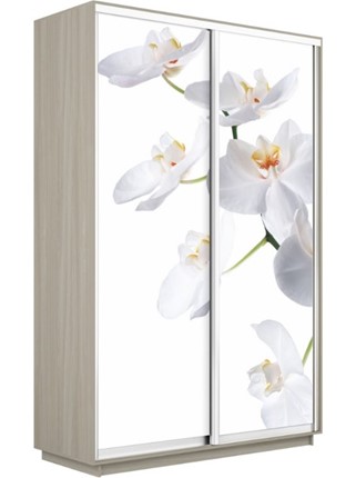 Шкаф 2-х створчатый Экспресс 1200x600x2200, Орхидея белая/шимо светлый в Перми - изображение