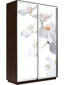 Шкаф 2-дверный Экспресс 1200x600x2200, Орхидея белая/венге в Перми