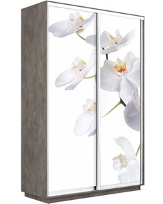 Шкаф Экспресс 1200x600x2400, Орхидея белая/бетон в Перми
