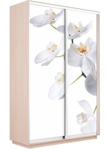 Шкаф двухдверный Экспресс 1200x600x2400, Орхидея белая/дуб молочный в Перми