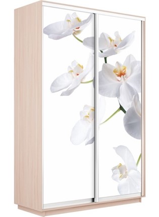 Шкаф 2-х дверный Экспресс 1400x600x2200, Орхидея белая/дуб молочный в Перми - изображение
