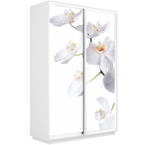 Шкаф 2-дверный Экспресс 1600x450x2400, Орхидея белая/белый снег в Березниках