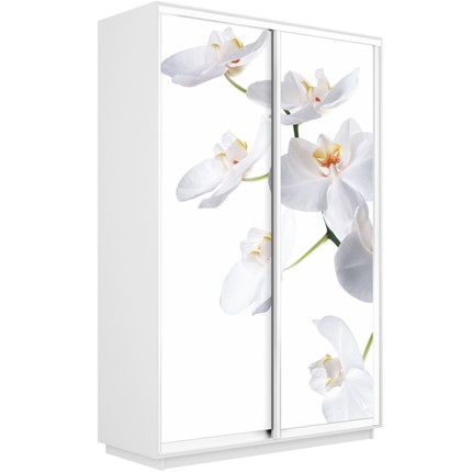 Шкаф 2-дверный Экспресс 1600x450x2400, Орхидея белая/белый снег в Перми - изображение