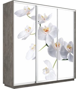 Шкаф 3-х дверный Экспресс 1800х450х2400, Орхидея белая/бетон в Перми
