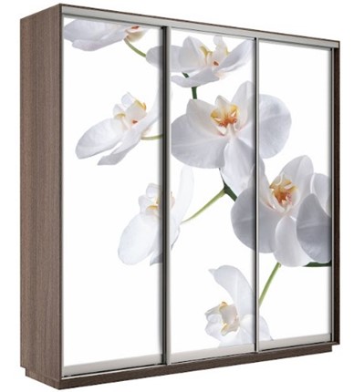 Шкаф Экспресс 1800х600х2200, Орхидея бела/шимо темный в Кунгуре - изображение