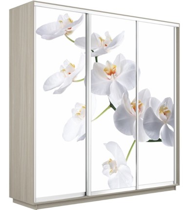 Шкаф 3-х створчатый Экспресс 1800х600х2200, Орхидея белая/шимо светлый в Перми - изображение