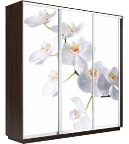 Шкаф 3-х дверный Экспресс 1800х600х2200, Орхидея белая/венге в Перми