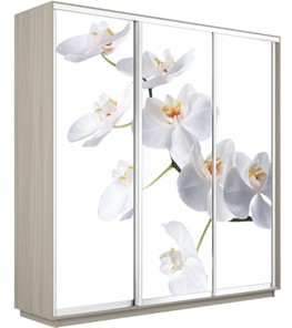 Шкаф 3-дверный Экспресс 1800х600х2400, Орхидея белая/шимо светлый в Перми