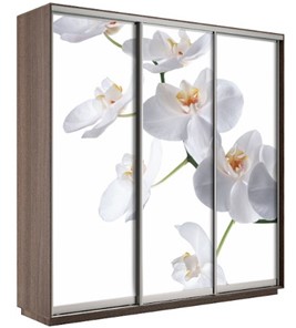 Шкаф Экспресс 1800х600х2400, Орхидея белая/шимо темный в Кунгуре