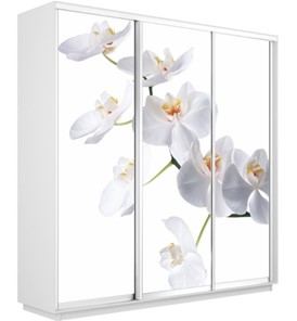Шкаф 3-х створчатый Экспресс 2100х450х2200, Орхидея белая/белый снег в Перми