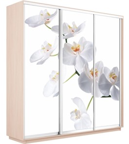 Шкаф 3-дверный Экспресс 2100х600х2200, Орхидея белая/дуб молочный в Перми - предосмотр