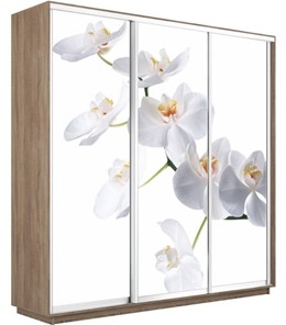 Шкаф 3-х створчатый Экспресс 2100х600х2400, Орхидея белая/дуб сонома в Перми - предосмотр