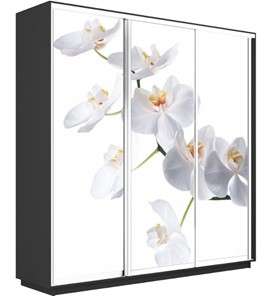 Шкаф 3-дверный Экспресс 2100х600х2400, Орхидея белая/серый диамант в Перми