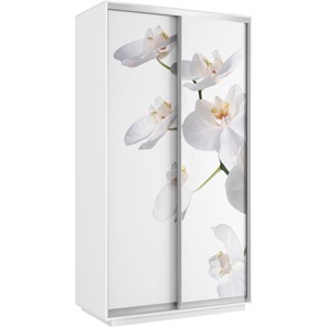 Шкаф 2-створчатый Хит 1200x600x2200, белая орхидея, белый снег в Кунгуре