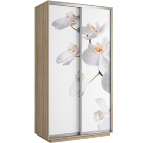 Шкаф 2-х створчатый Хит 1200x600x2200, белая орхидея, дуб сонома в Березниках