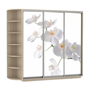 Шкаф Экспресс со стеллажом, 2400х600х2200, Орхидея белая/шимо светлый в Перми
