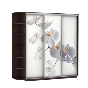 Шкаф 3-дверный Экспресс со стеллажом, 2700х600х2400, Орхидея белая/венге в Перми