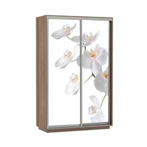 Шкаф 2-х дверный Е1 Экспресс 1200x600x2400, Орхидея белая/шимо темный в Перми