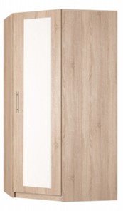 Распашной шкаф угловой Реал (YR-198х884 (11)-М Вар.1), с зеркалом в Березниках