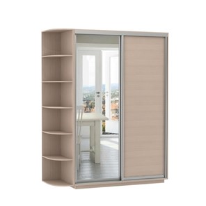 Шкаф 2-дверный Экспресс (ДСП/Зеркало), со стеллажом, 1900х600х2200, дуб молочный в Перми