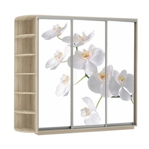 Шкаф 3-х дверный Экспресс со стеллажом, 2700х600х2400, Орхидея белая/дуб сонома в Перми - предосмотр