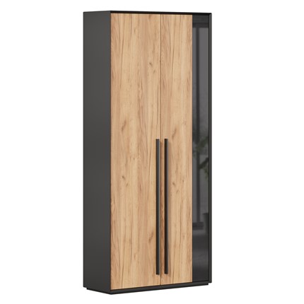 Шкаф для прихожей 2-дверный Неаполь ЛД.134050.000 (Черный/Дуб Золотой) в Перми - изображение
