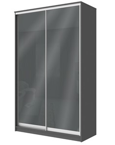 Шкаф-купе 2-х створчатый Хит-22-12/2-22 с цветным стеклом, темно-серый 073, Графит в Перми