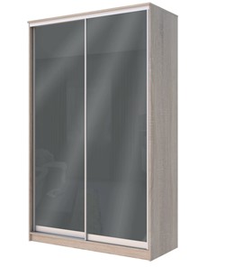 Шкаф 2-х дверный Хит-22-4-12/2-22 с цветным стеклом, темно-серый 073, Дуб сонома в Перми