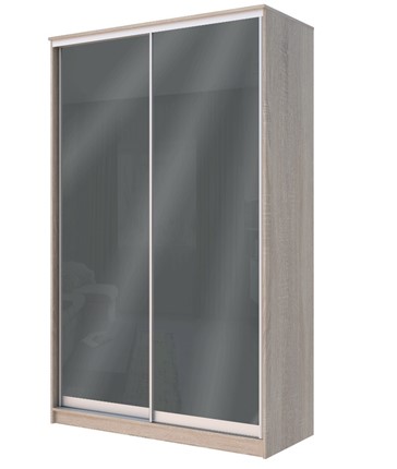Шкаф 2-х дверный Хит-22-4-12/2-22 с цветным стеклом, темно-серый 073, Дуб сонома в Перми - изображение