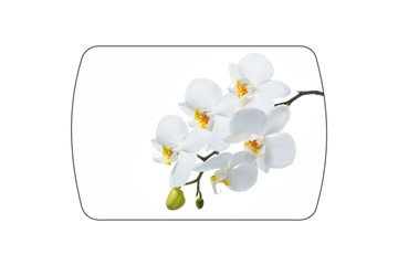 Обеденный раздвижной стол Танго, белый/орхидея в Перми - предосмотр 3