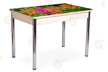Кухонный раскладной стол Айсберг-02 СТФ, Дуб ЛДСП/полевые цветы/ноги хром прямые в Перми - предосмотр
