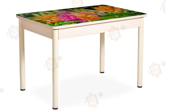Раздвижной стол Айсберг-02 СТФ, Дуб ЛДСП/полевые цветы/ноги крашеные в Кунгуре - изображение