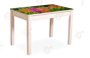 Кухонный раскладной стол Айсберг-02 СТФ, Дуб ЛДСП/полевые цветы/ноги масссив в Перми