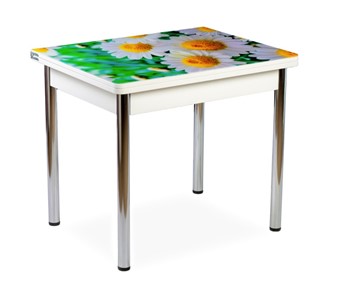 Кухонный пристенный стол СПА-01 СТФ, белый/фотопечать ромашки/опоры прямые хром в Чайковском