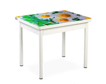 Кухонный пристенный стол СПА-01 СТФ, белый/фотопечать ромашки/опоры прямые белые в Березниках