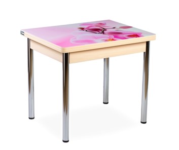 Кухонный пристенный стол СПА-01 СТФ, молочный дуб/фотопечать орхидея/опоры прямые хром в Перми - предосмотр